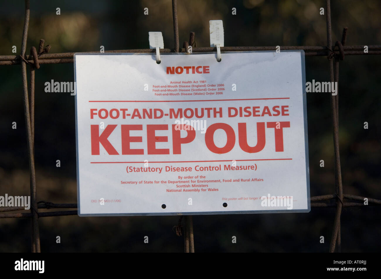 Fuß - und - Klauenseuche Unterhalt aus Zeichen Ripley Surrey UK Stockfoto