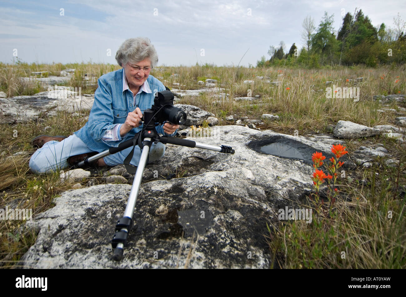 Senior Woman schießen Fotos von Wildblumen während der Teilnahme an Foto Workshop Zeltplatz Point natürlichen Bereich Door County Wisconsin Stockfoto