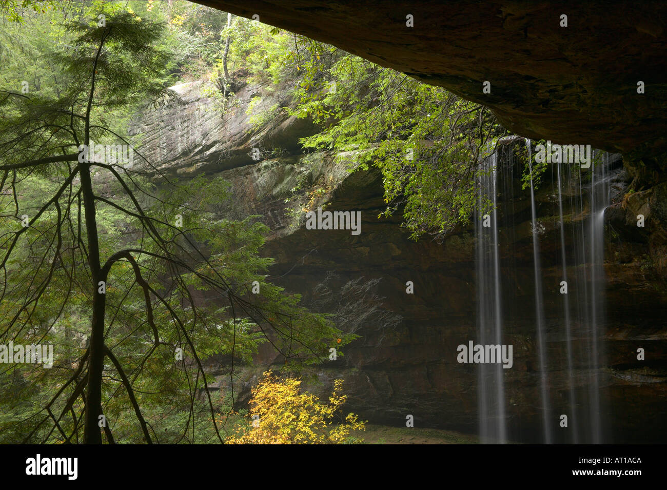 Northrup fällt Colditz Cove State Natural Area Tennessee Stockfoto