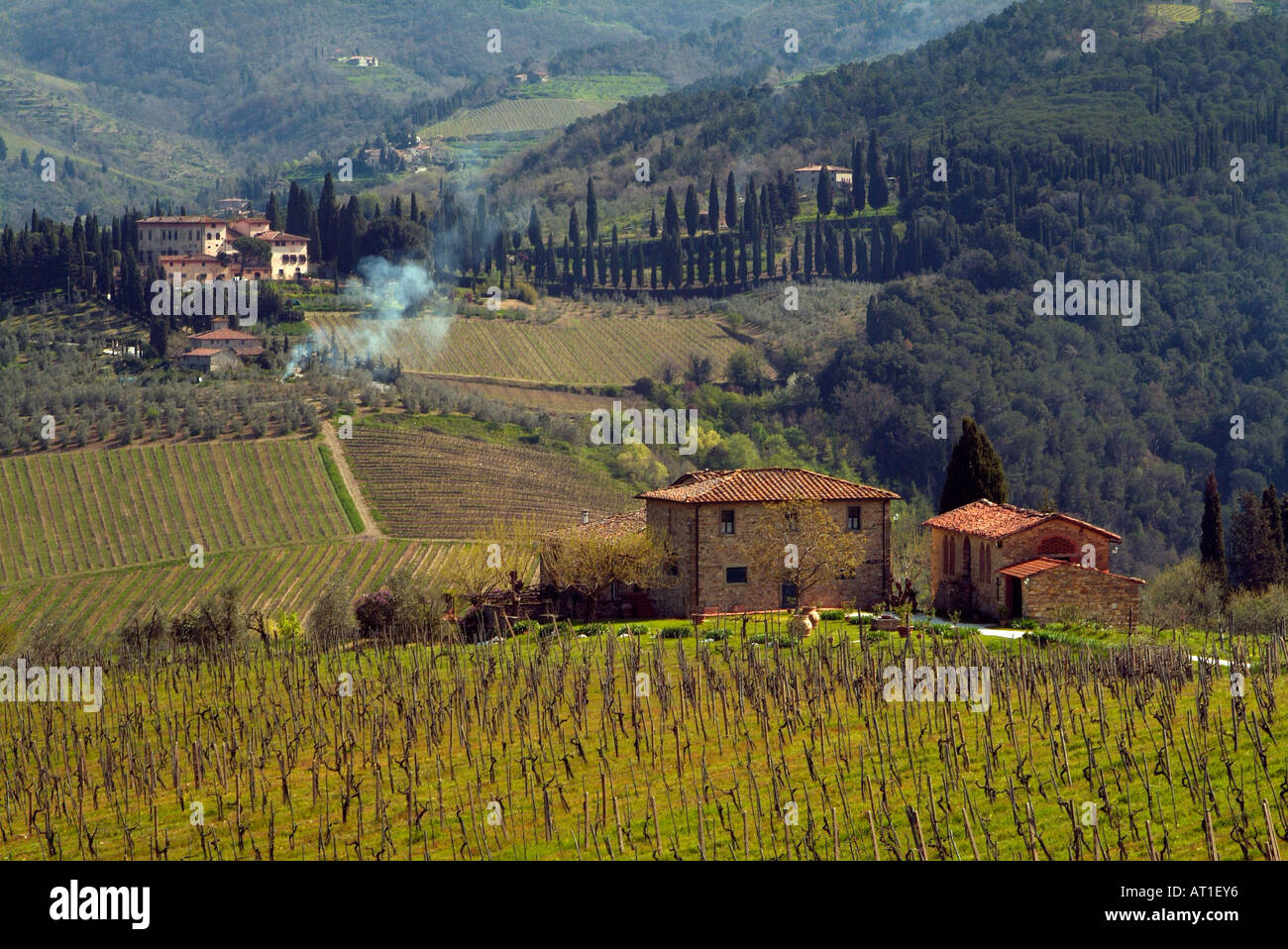 Italien, Landhäuser in der Toskana, umgeben von Weinbergen Stockfoto