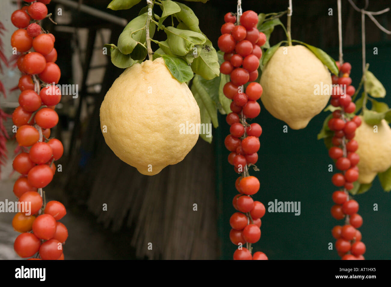 Europa, Italien, Campania (Halbinsel von Sorrent) Sorrento: Sorrento Zitronen & Cherry-Tomaten Stockfoto
