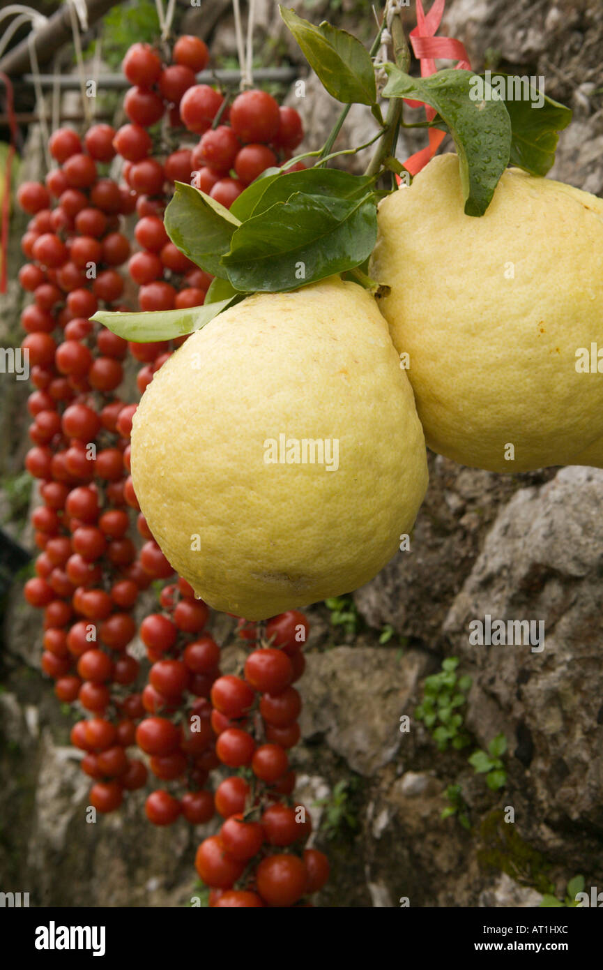 Europa, Italien, Campania (Halbinsel von Sorrent) Sorrento: Sorrento Zitronen & Cherry-Tomaten Stockfoto