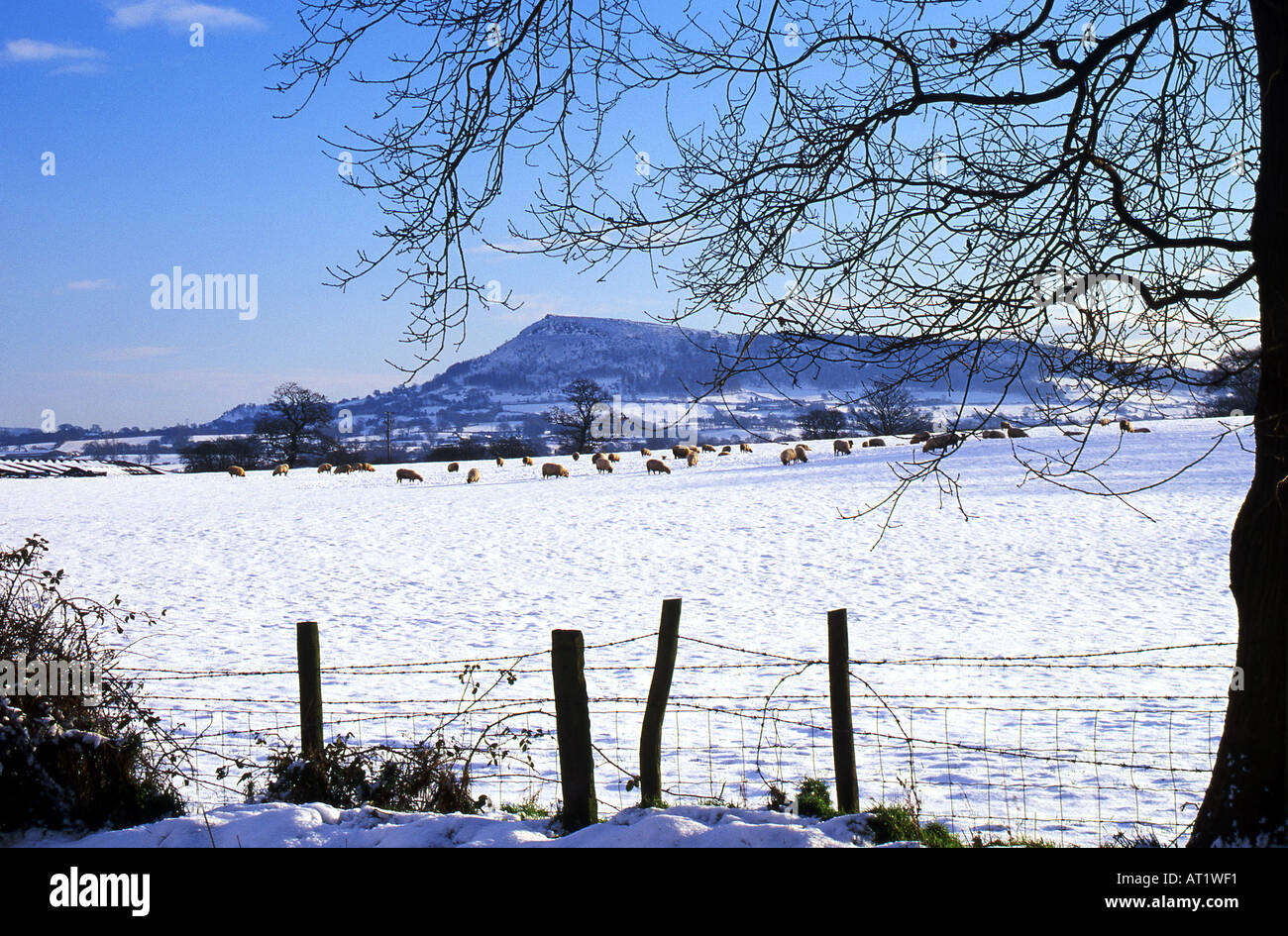 Bosley Cloud im Winter, in der Nähe von Congleton, Cheshire, England, UK Stockfoto