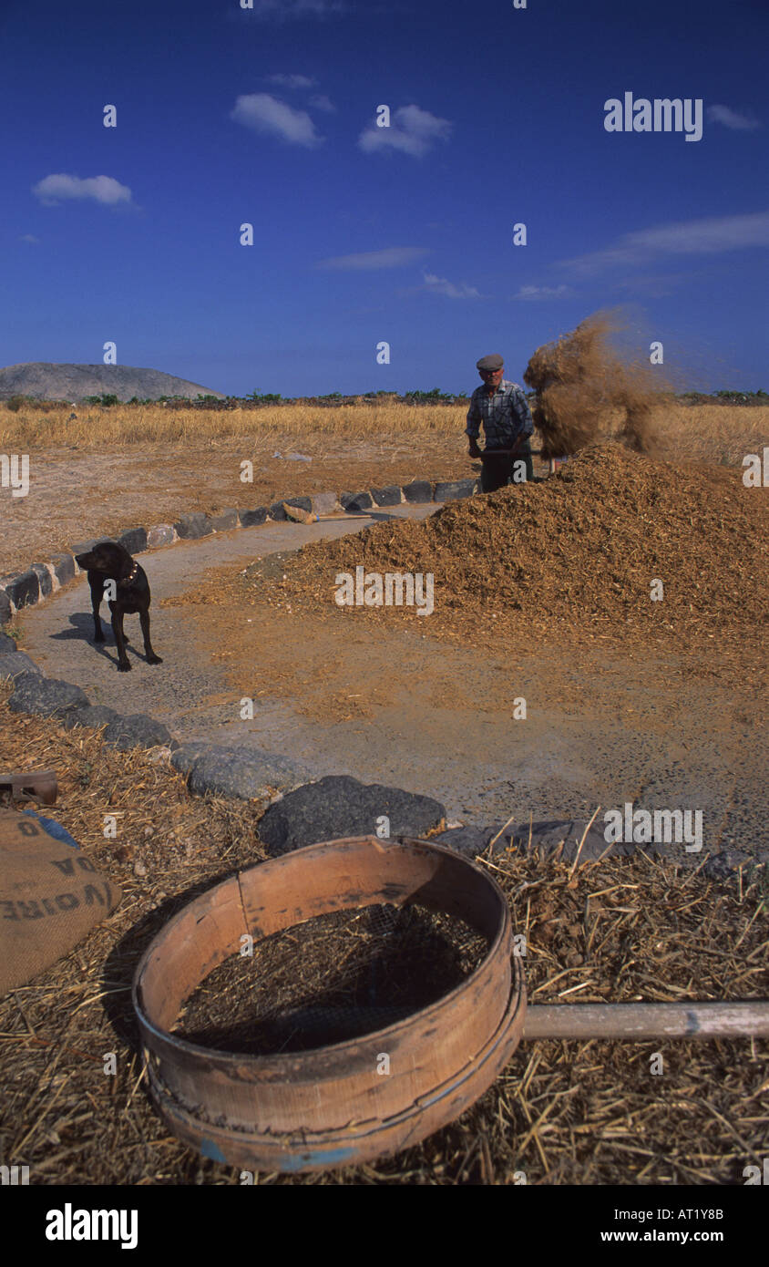 Bauer von Santorini Thera Insel griechische Inseln Griechenland Stockfoto