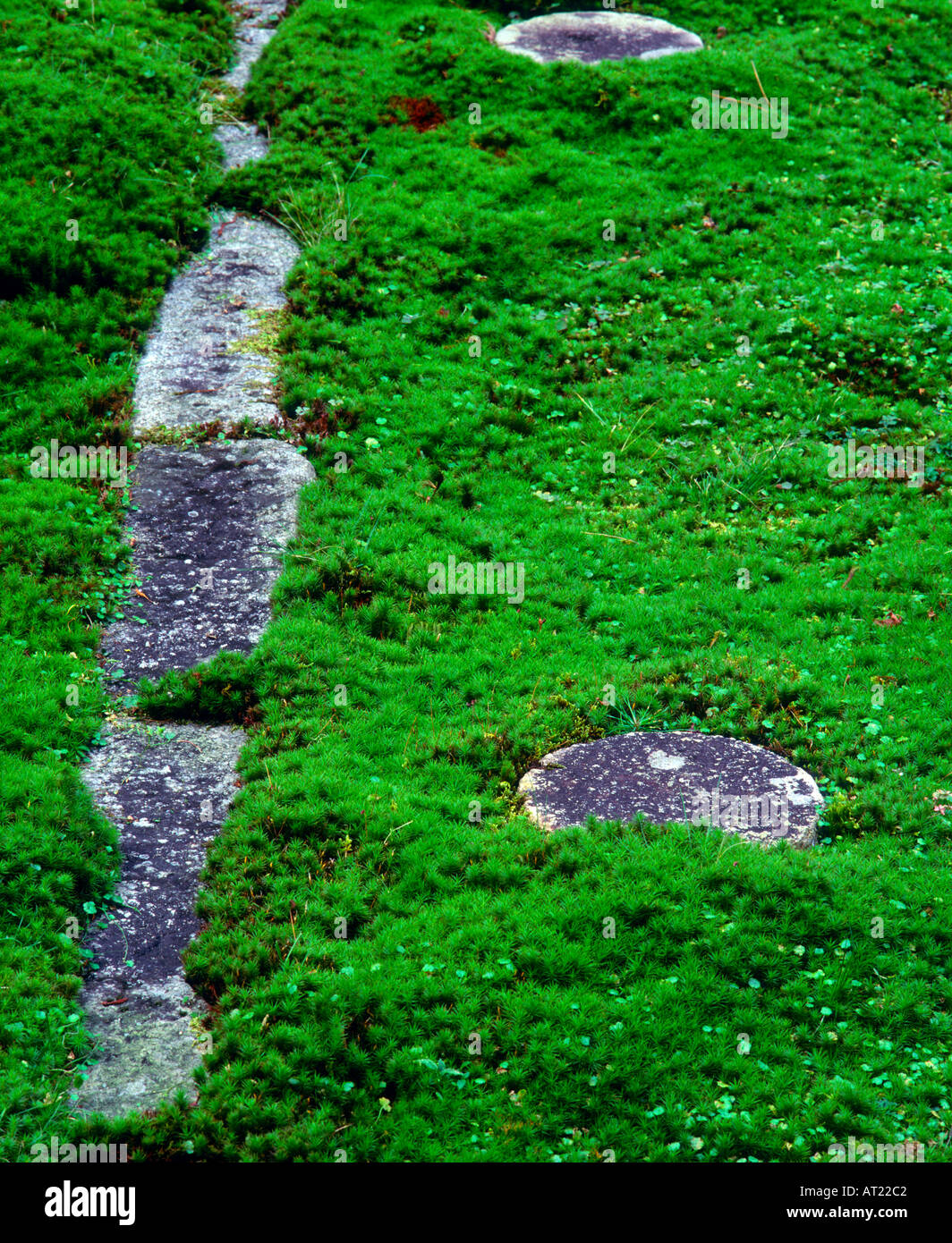 Steinen mitten in einem Bett aus Moos EikandoTemple Kyoto Japan Stockfoto
