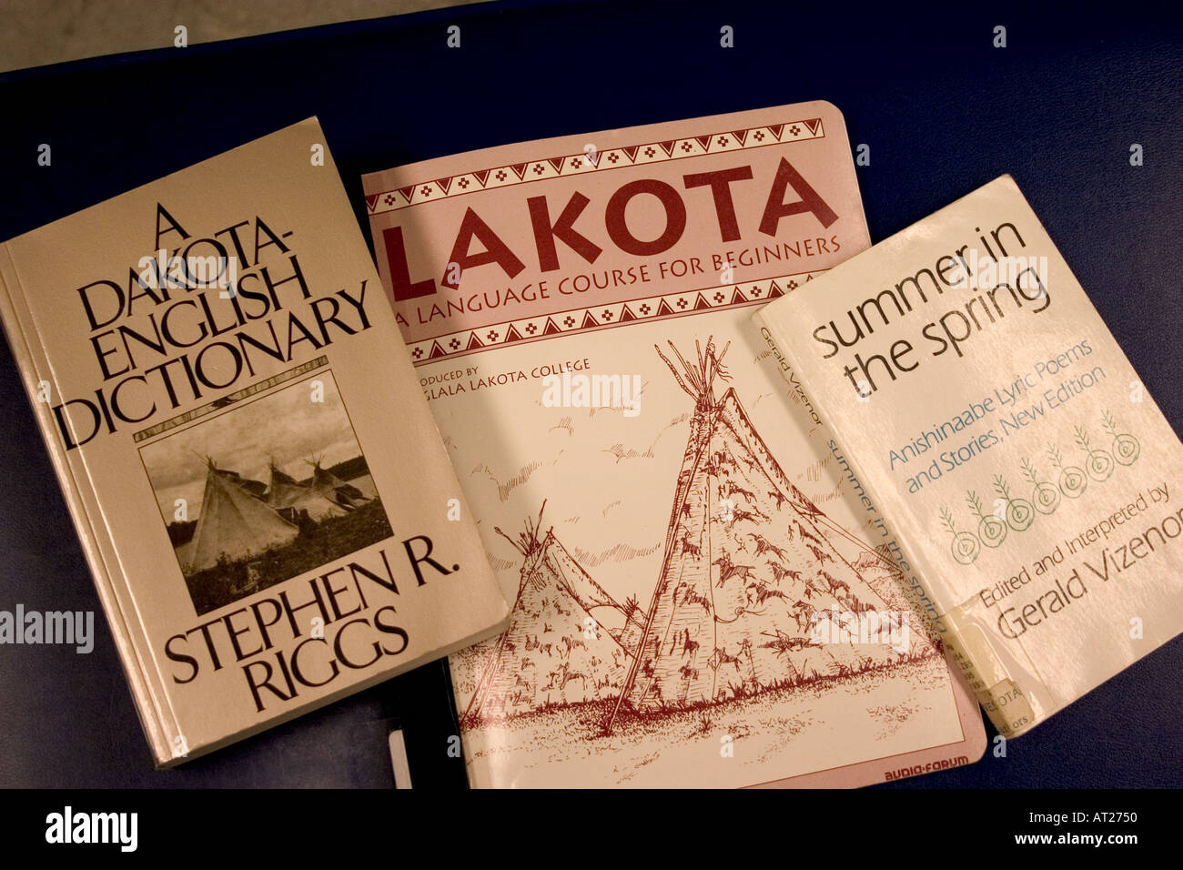 Dakota Wörterbuch Lakota Sprachkurs und Sommer im Frühjahr in der Zentralbibliothek. Minneapolis Minnesota MN USA Stockfoto