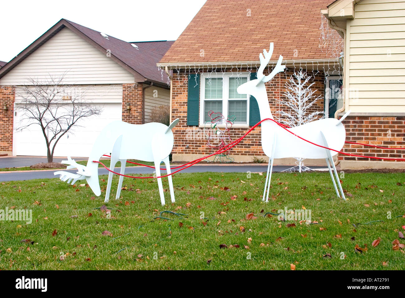 Rentier Rangifer Tarandus wartet auf Weihnachten auf Rasen von Cambridge im Carillon Gemeinschaft. Plainfield Illinois IL USA Stockfoto