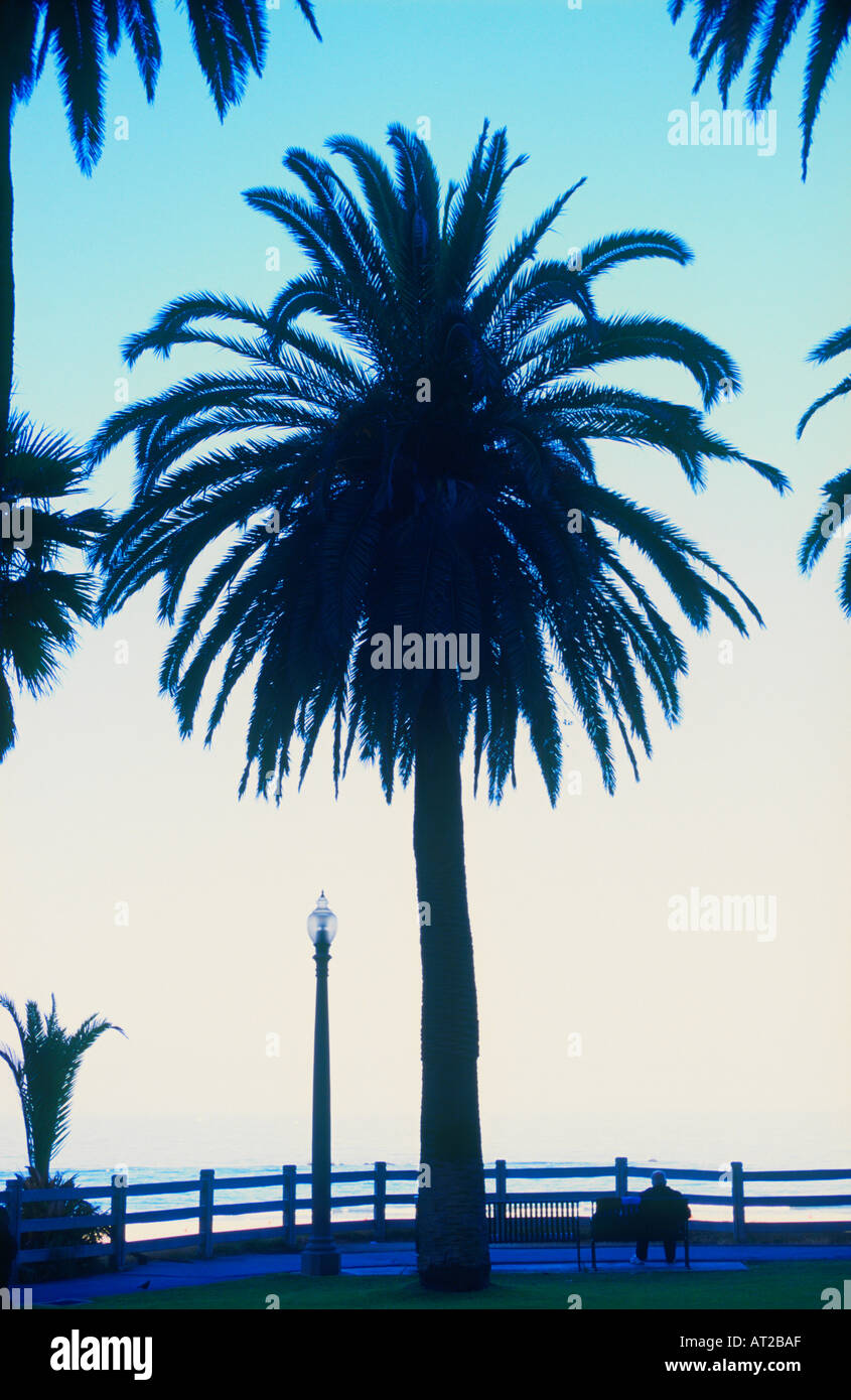 Mann auf der Parkbank Blick auf Ozean Santa Monica, Kalifornien Stockfoto