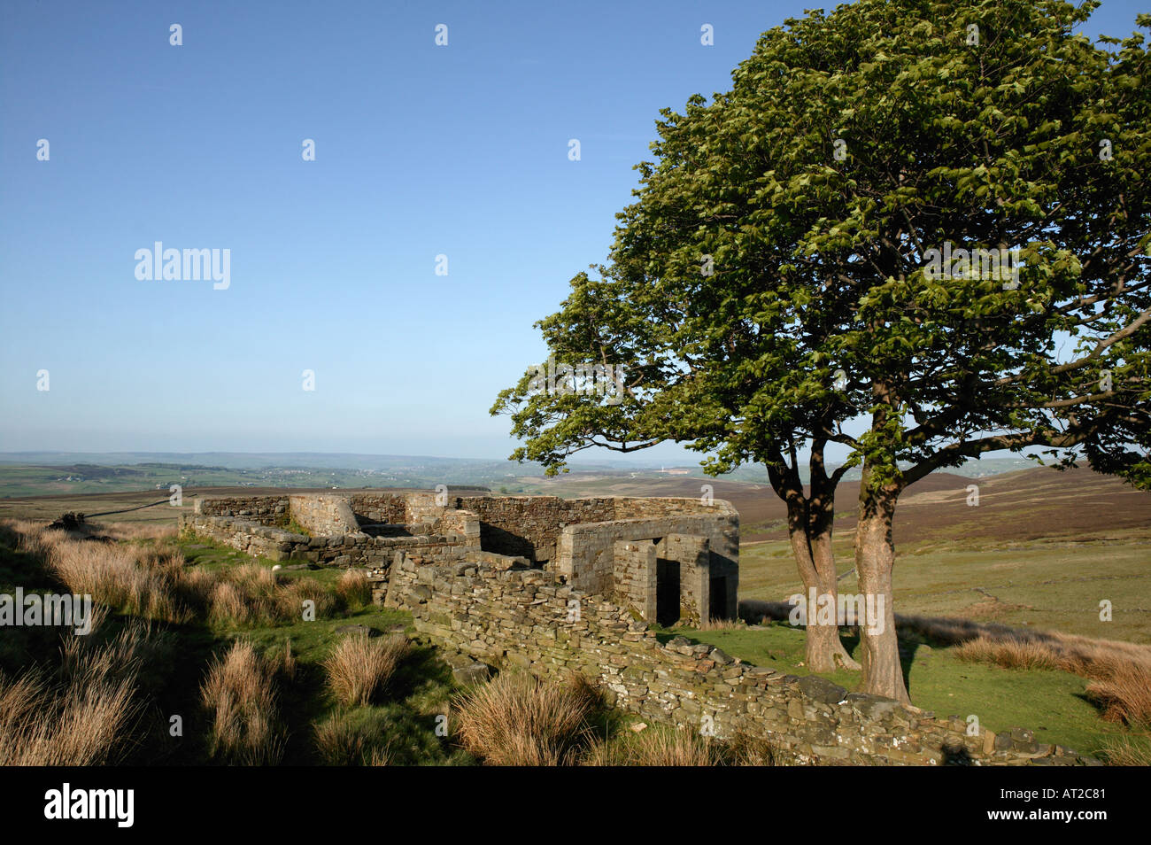 RUINE DES TOP WITHINS WITHINS FARM WUTHERING HEIGHTS STANBURY MOOR BRONTE LAND YORKSHIRE ENGLAND Stockfoto
