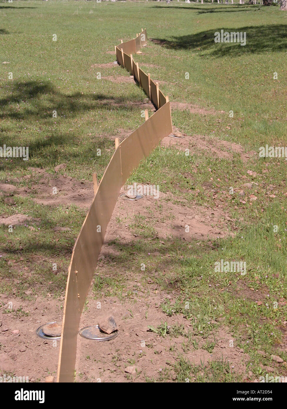 Biologen benutzen diese Falle Insekten in der Nacht in der Sierra Foothills in der Nähe von Fresno CA USA sammeln Stockfoto