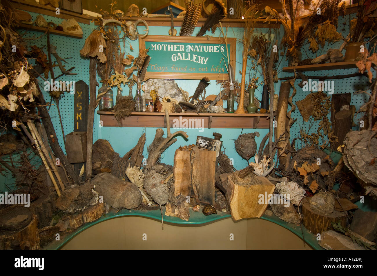 Ausstellung in das Naturzentrum an Brown County State Park Nashville Indiana Stockfoto