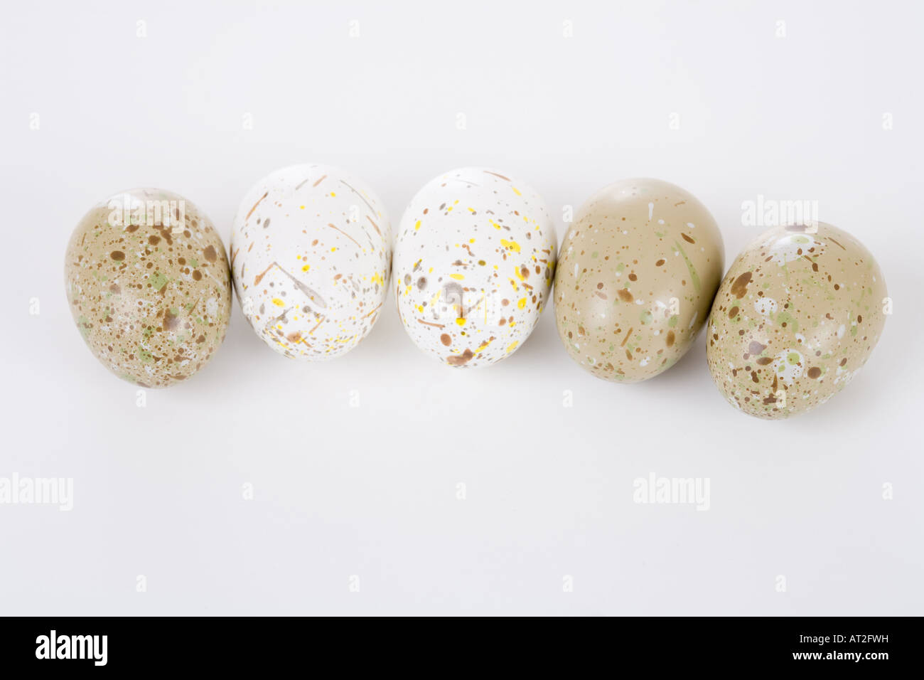 Fünf kleine Eiern liegen in einer Reihe Stockfoto
