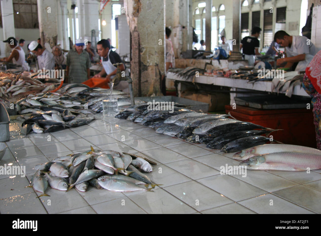 Fisch zum Verkauf auf dem nassen Markt abseits der Main Bazaar in Kuching, Sarawak, Borneo, Malaysia Stockfoto