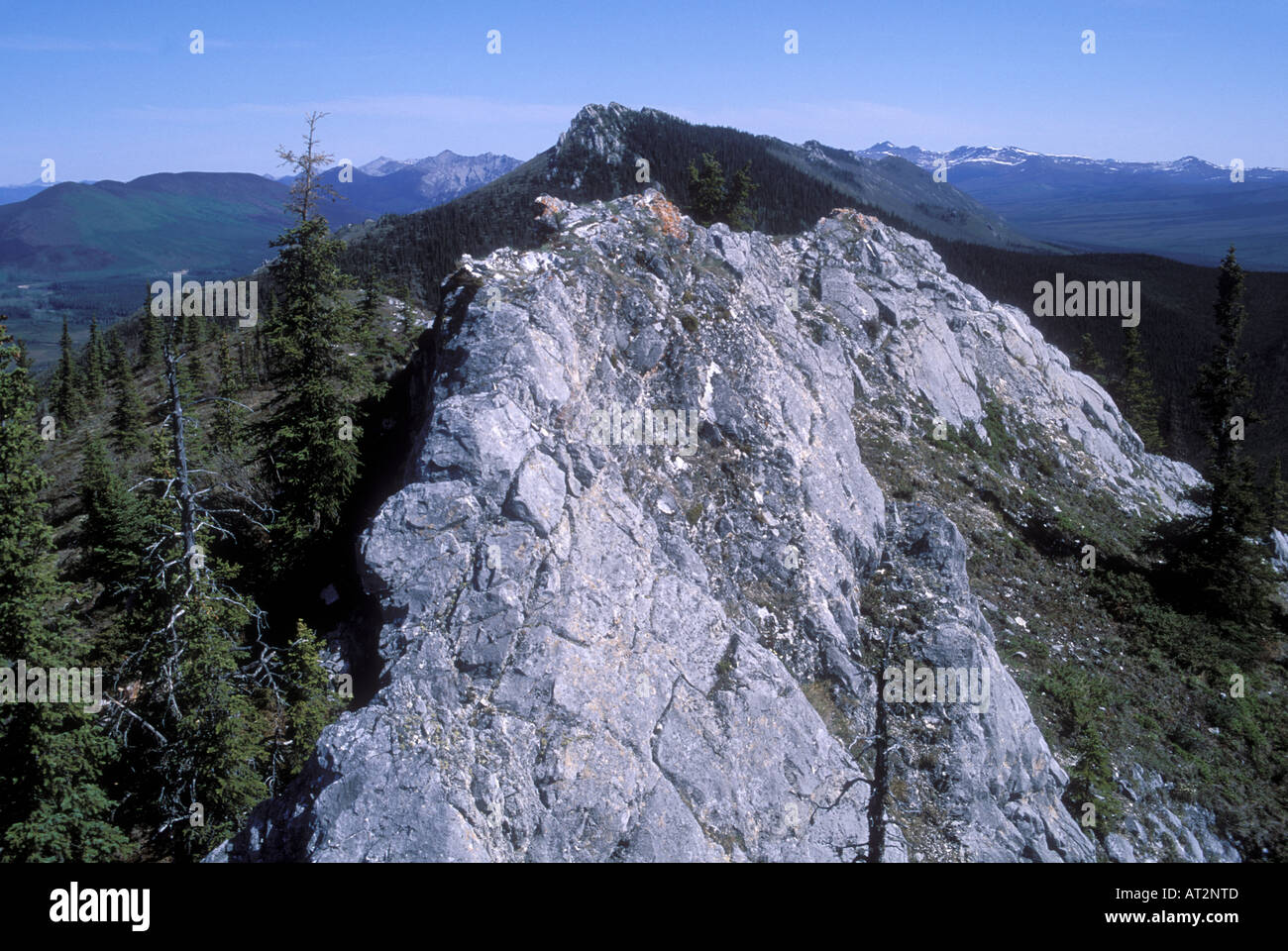 Kalkstein-Grat in White Mountains BLM Erholungsgebiet über Beaver Creek Alaska Stockfoto