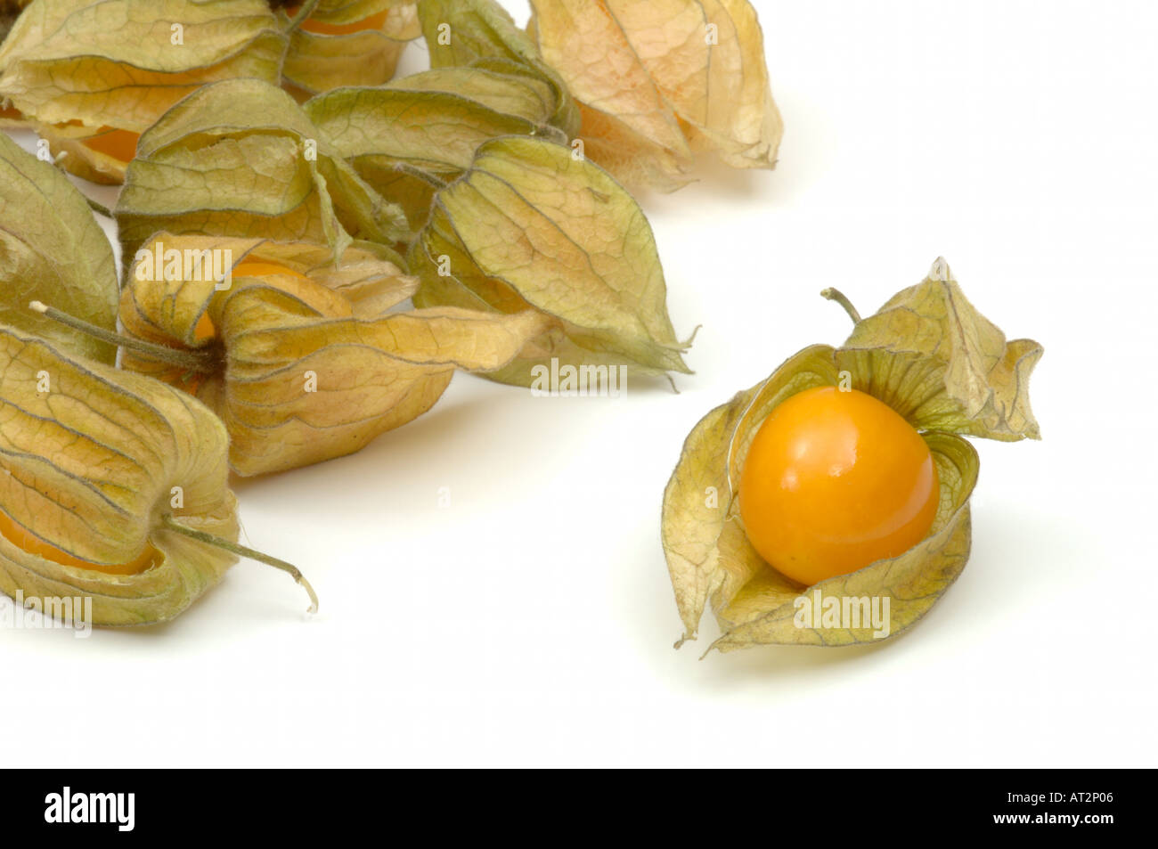 Physalis oder Groundcherry Obst auf weißem Hintergrund Stockfoto