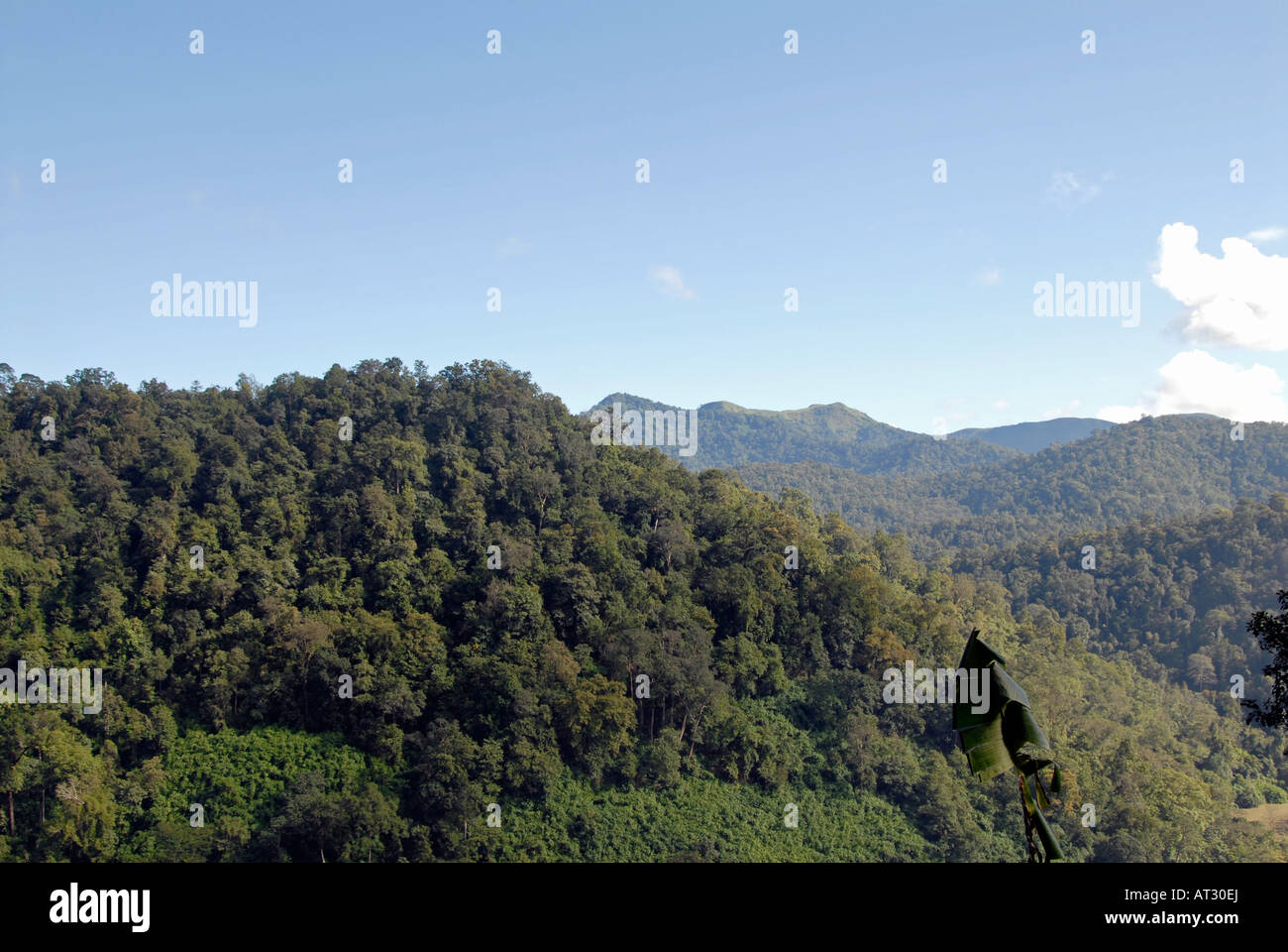 Ein Blick auf die Berge von Kerala, Indien Stockfoto