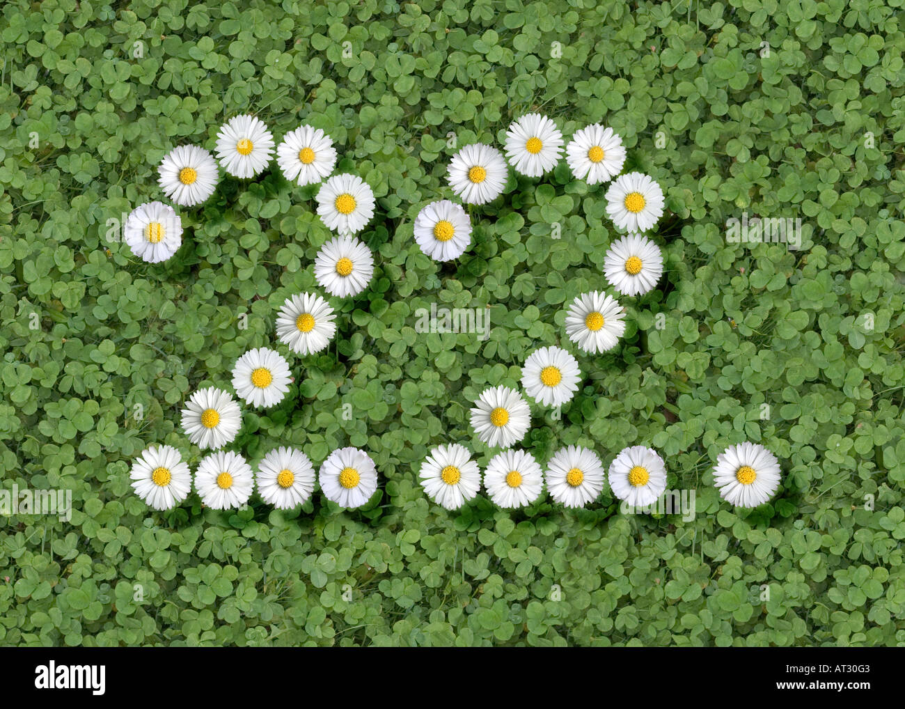 22.-Nummern Stockfoto