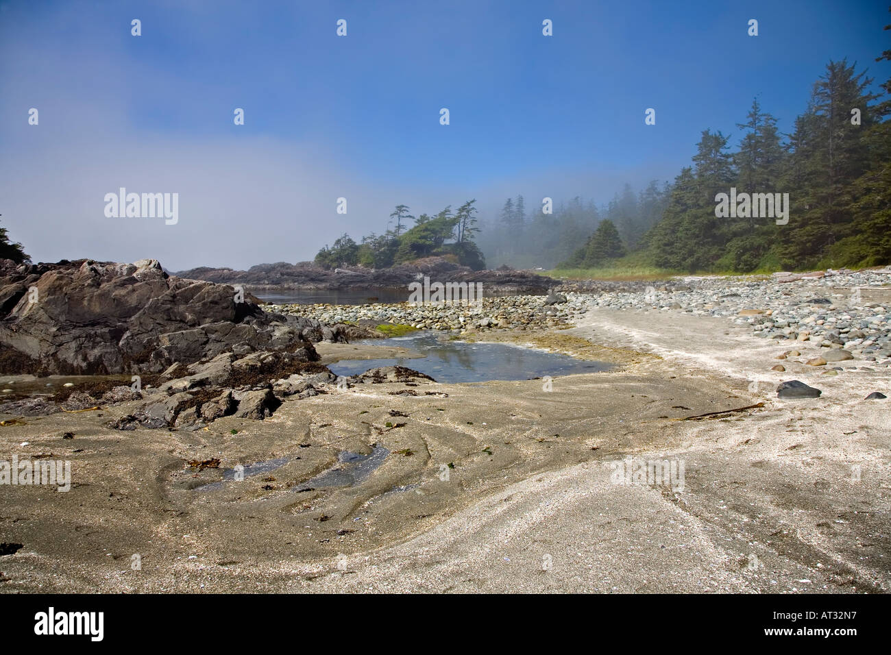 Geschützten Felsenküste mit Seenebel Rollen im South Beach Pacific Rim National Park Reserve Vancouver Island Kanada Stockfoto