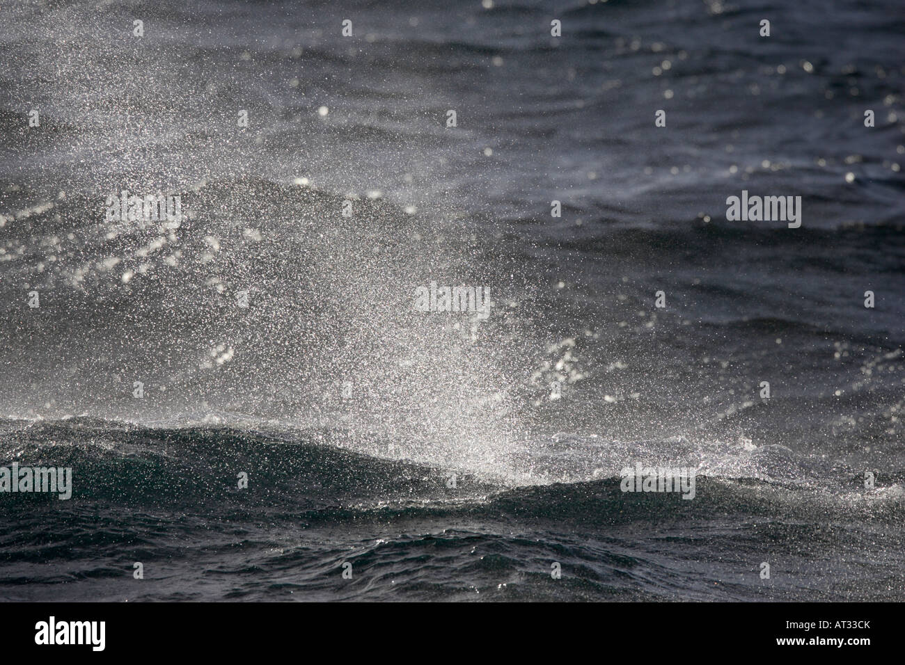 Wellen im Südatlantik Stockfoto