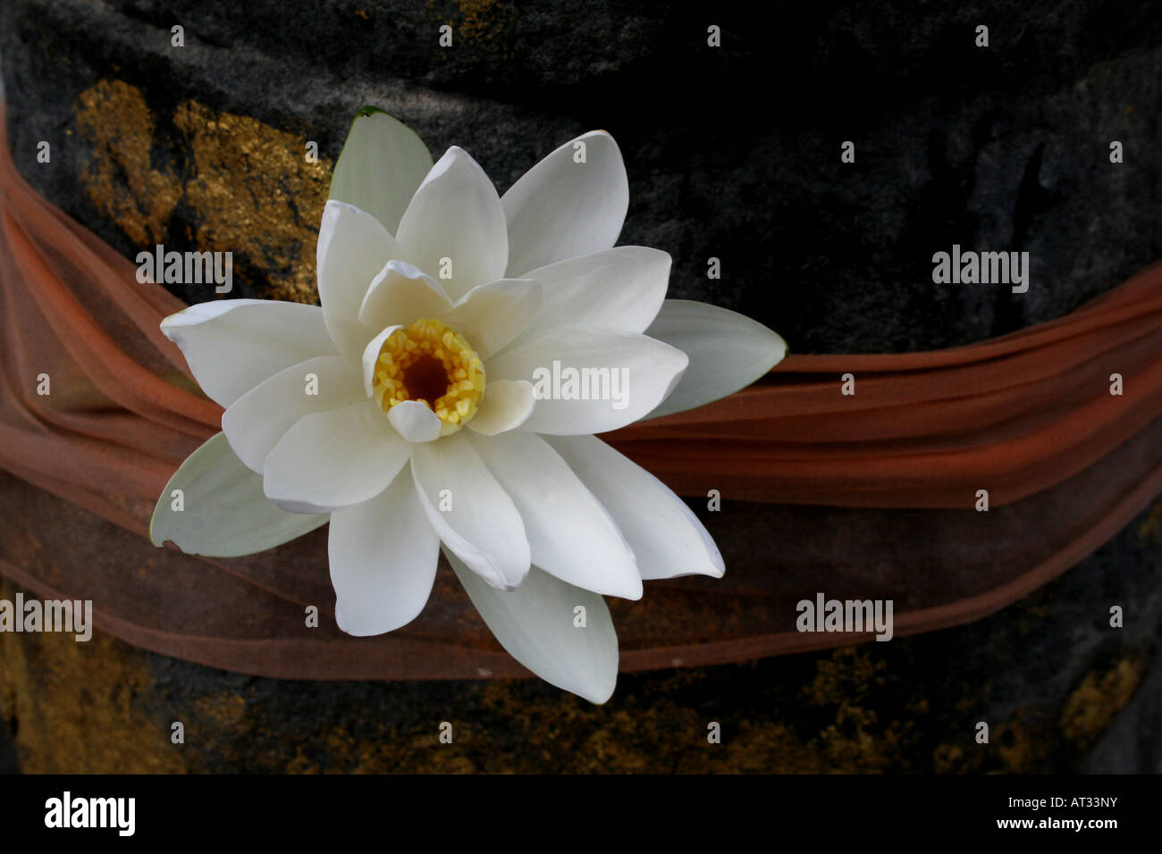 Blume bietet Mahabodhi Tempel, Bodhgaya, Bihar, Indien Stockfoto