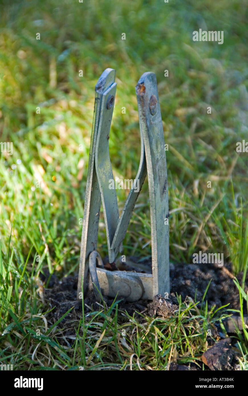 Eine federbelastete Mole claw Trap auf einem Rasen im Garten (UK) Stockfoto