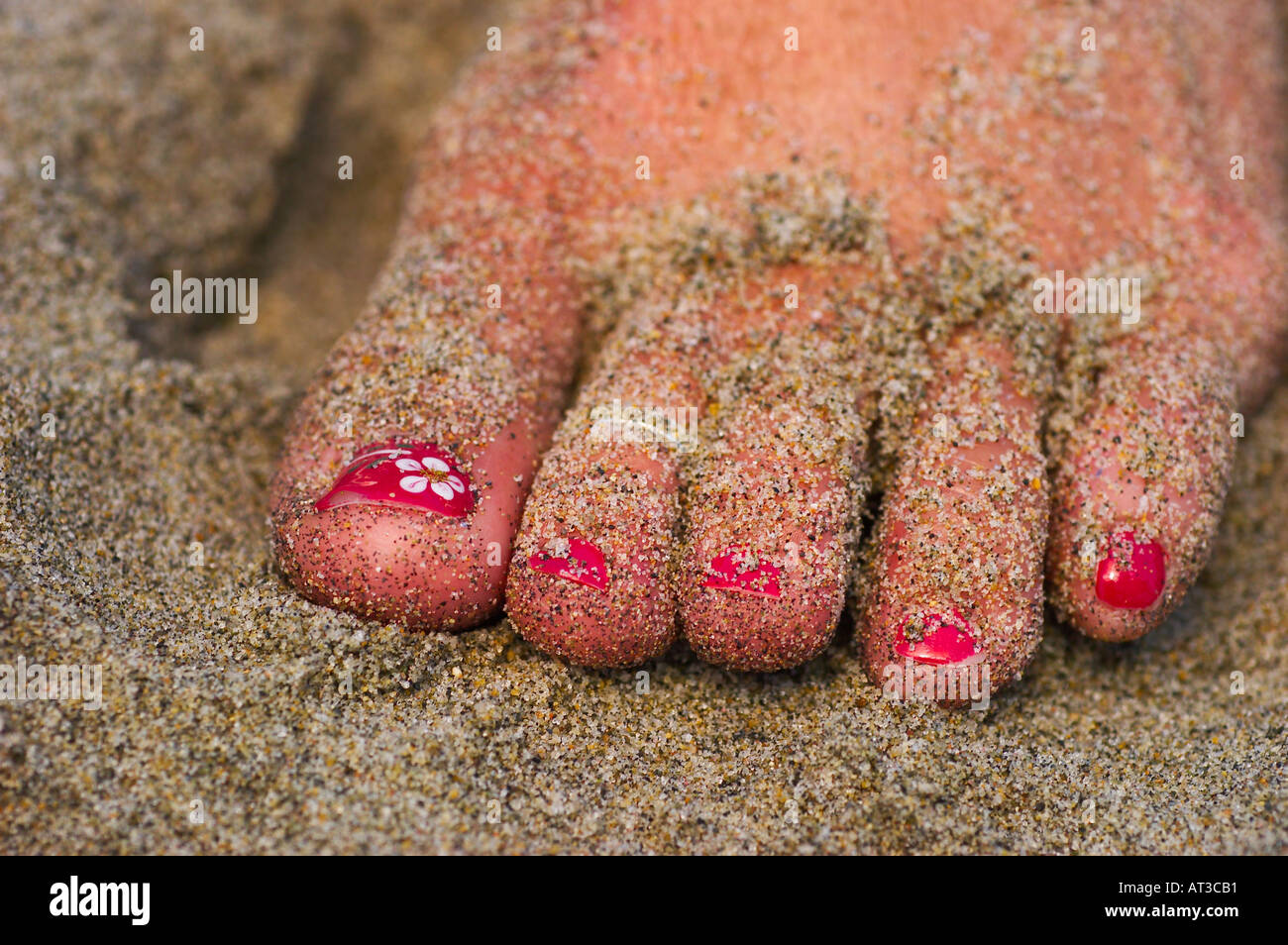 Strand-Zehen Stockfoto