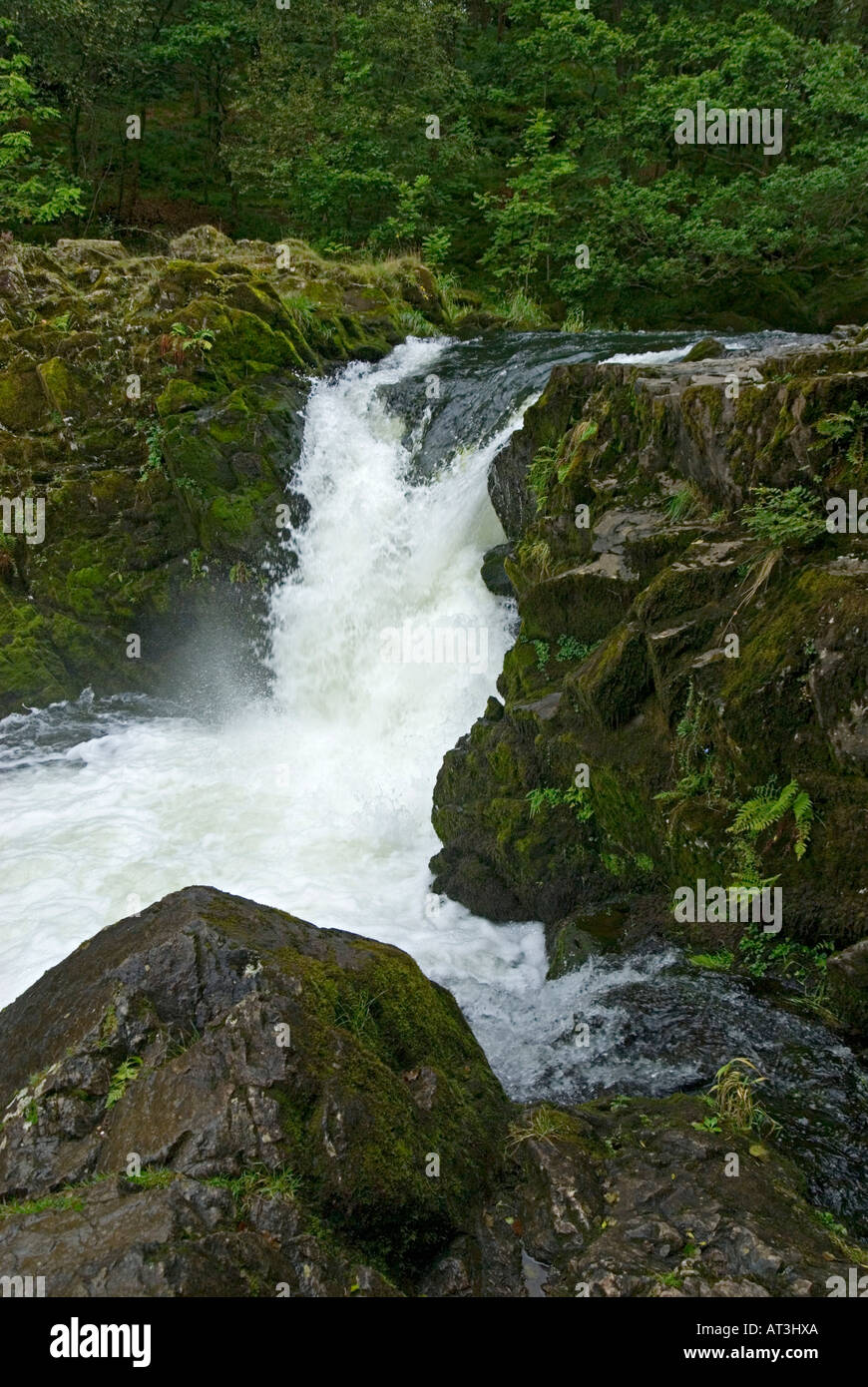 Skelwith Force Wasserfall Stockfoto