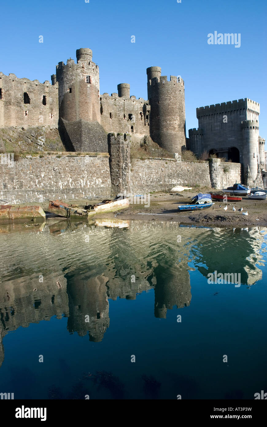 Conwy Castle Stockfoto