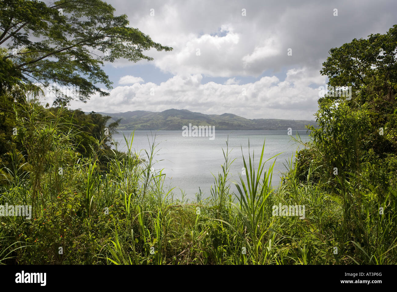 Costa Rica Laguna Arenal von Bäumen gesäumten Ufer mit Blick auf die Cordillera de Tilaran über See Stockfoto