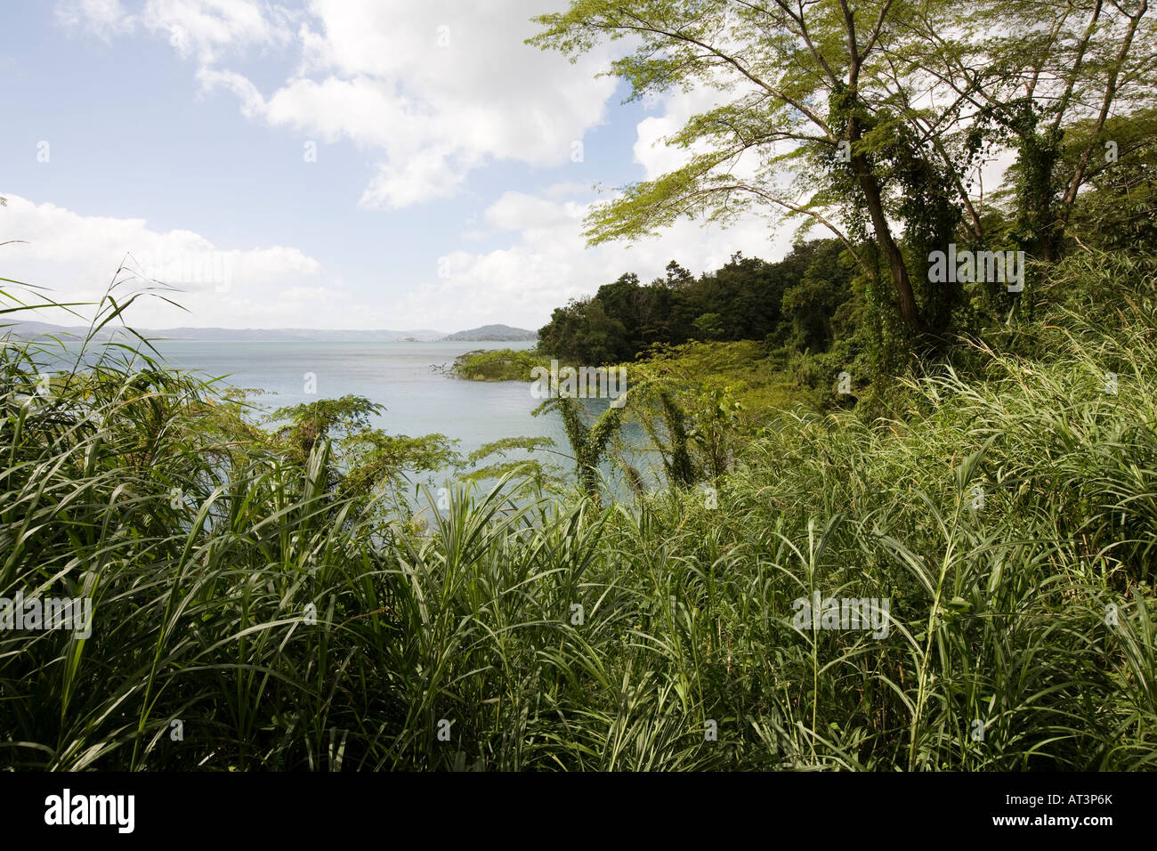 Costa Rica Laguna Arenal von Bäumen gesäumten Ufer mit Blick auf die Cordillera de Tilaran über See Stockfoto