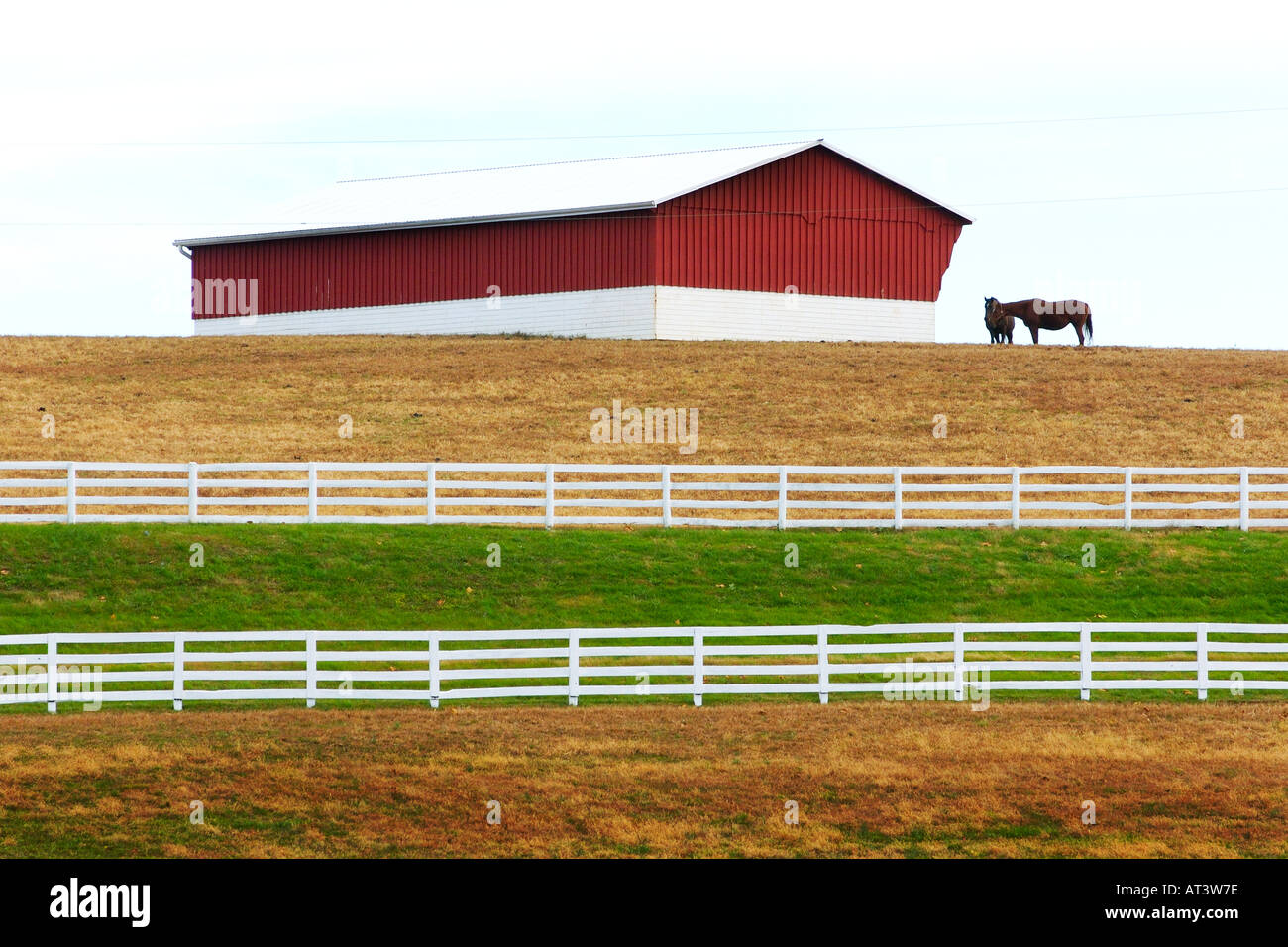 Malerische Murmur Bauernhof in Darlington Maryland Stockfoto