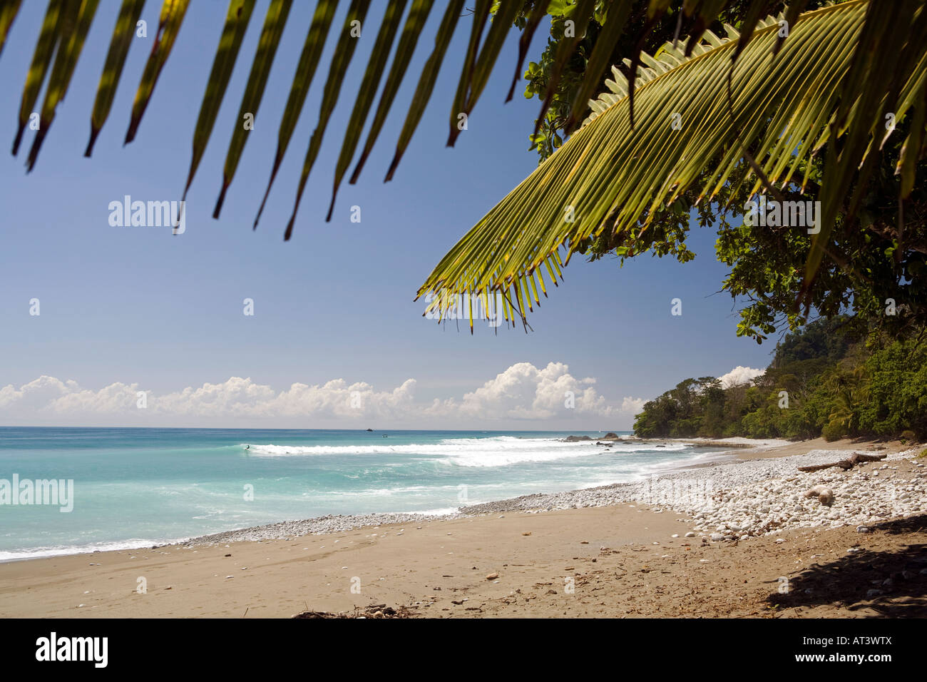 Costa Rica Osa Halbinsel Cabo Matapalo Ufer des beliebten Surfstrand Stockfoto