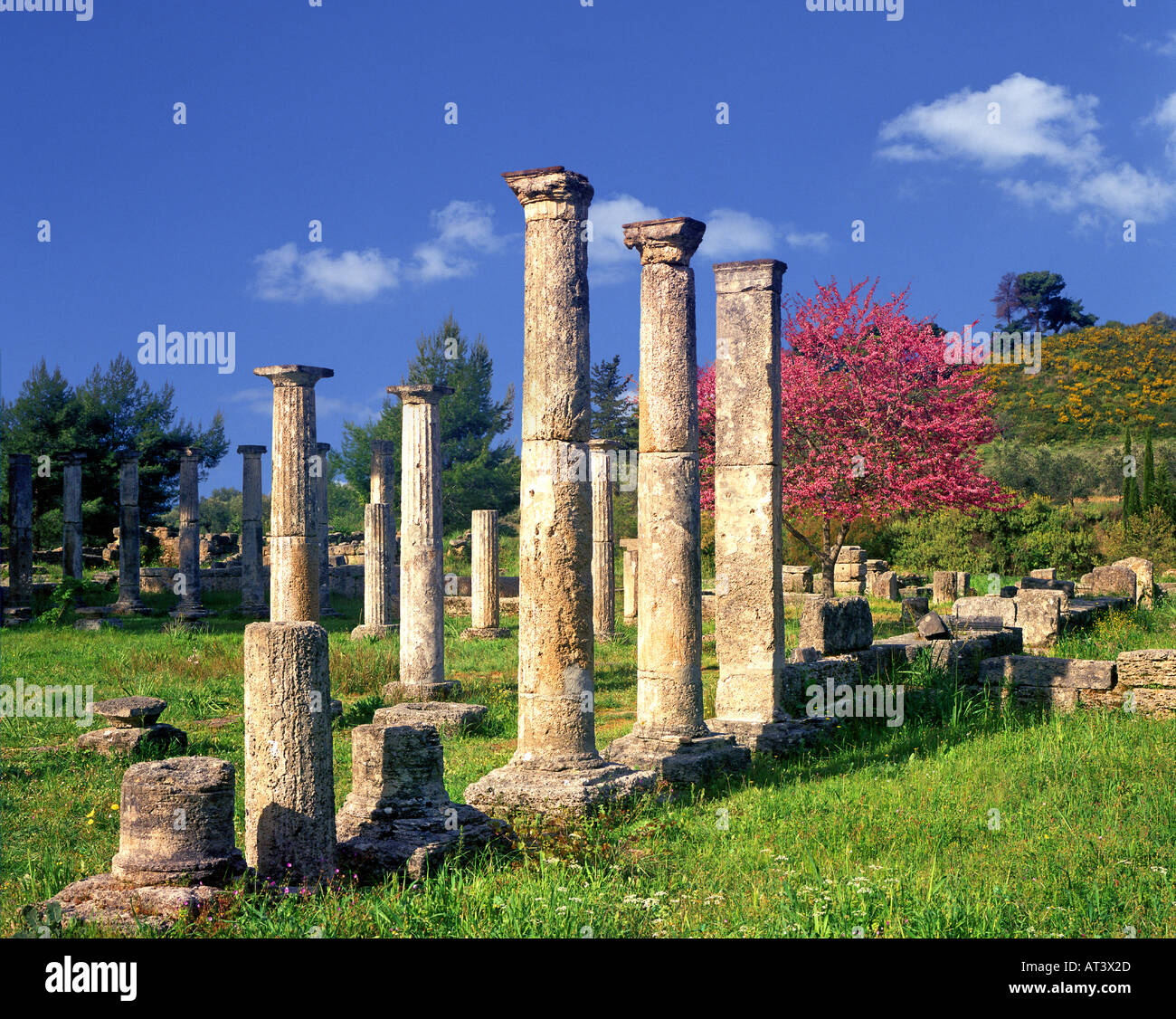 GR - Peloponnes: Die Palästra bei Olympia Stockfoto