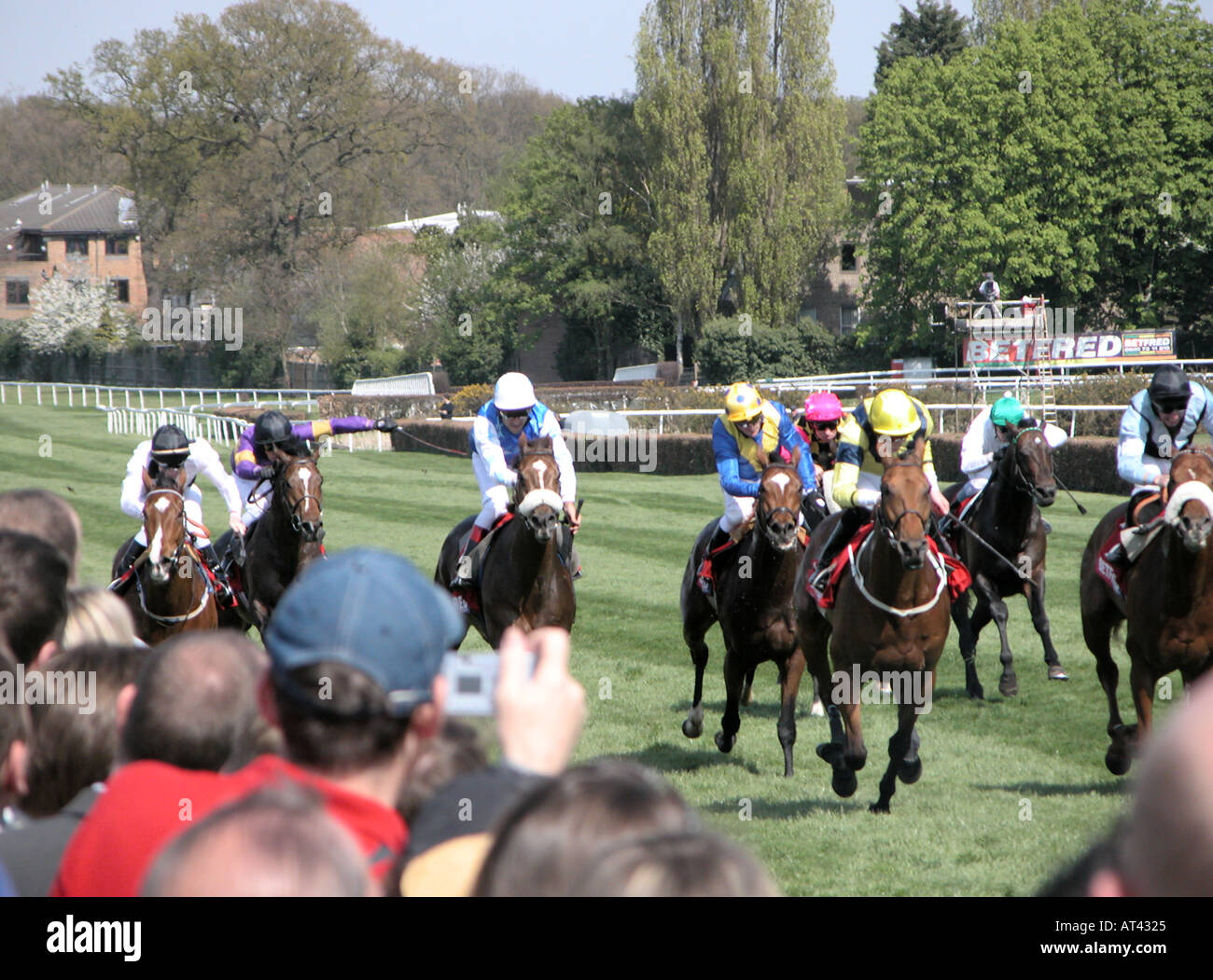 Pferde galoppieren vor Zuschauern im Sandown Park am Gold Cup Tag 2004 Stockfoto