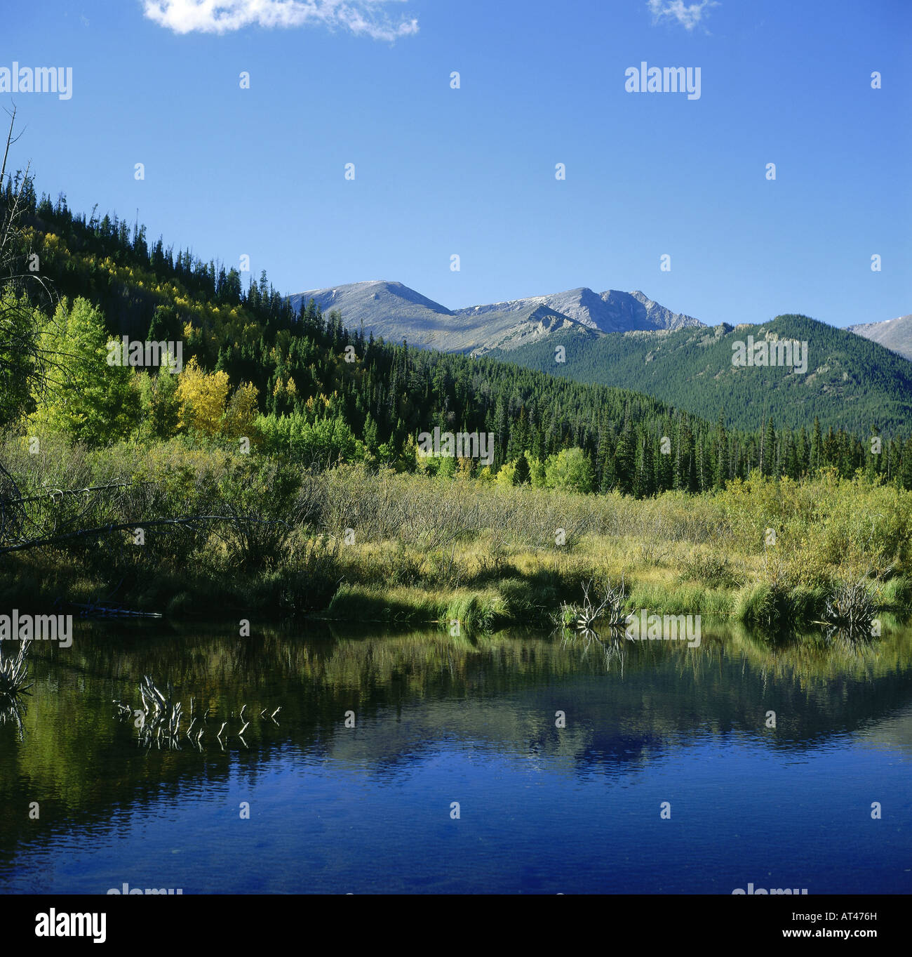 Geographie / Reisen, USA, Colorado, Rocky Mountain Nationalpark, Biber Teich, Landschaft, Landschaften, Berge, Stockfoto