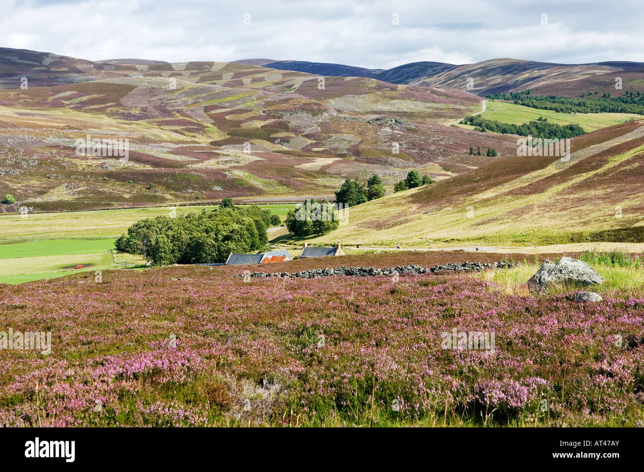 Highland Moorlandschaft in der Nähe von Gairnshiel Lodge, Braemar, Grampian, Schottland. Schneehuhn schießen Land Heather brennen Stockfoto