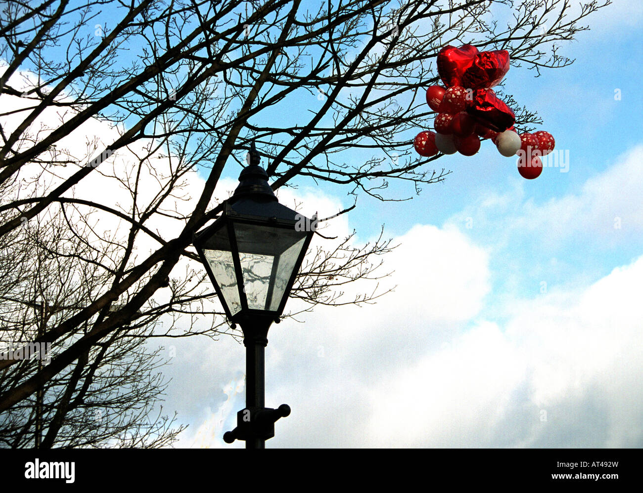 Valentinstag Luftballons stecken im Baum in London Straße Stockfoto