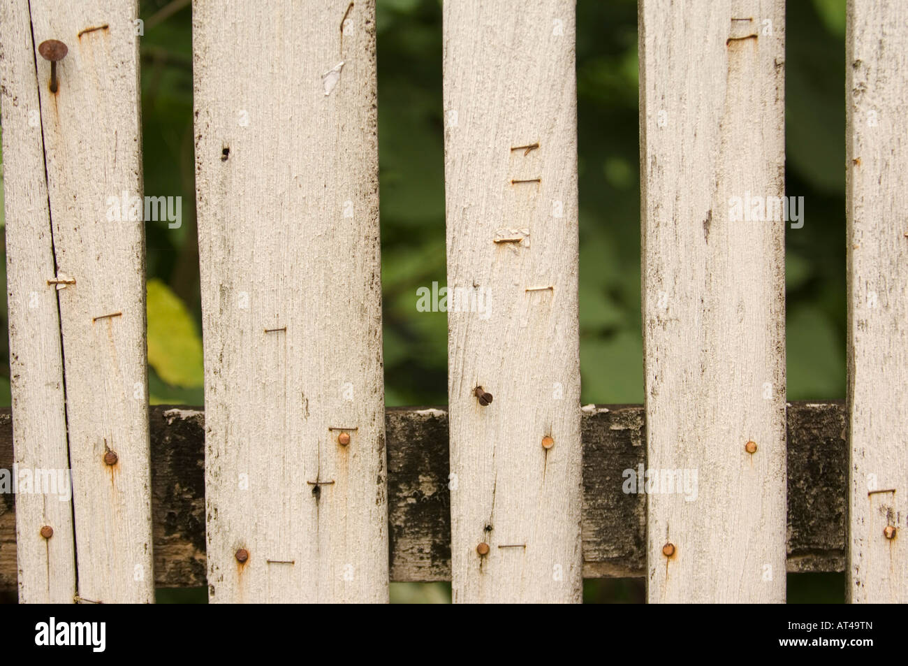 Holz Zaun in Chaing Mai Thailand Stockfoto