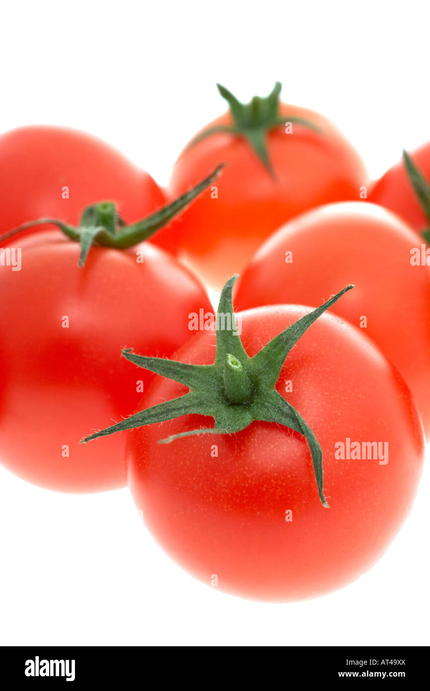 Tomaten auf weißem Hintergrund Stockfoto