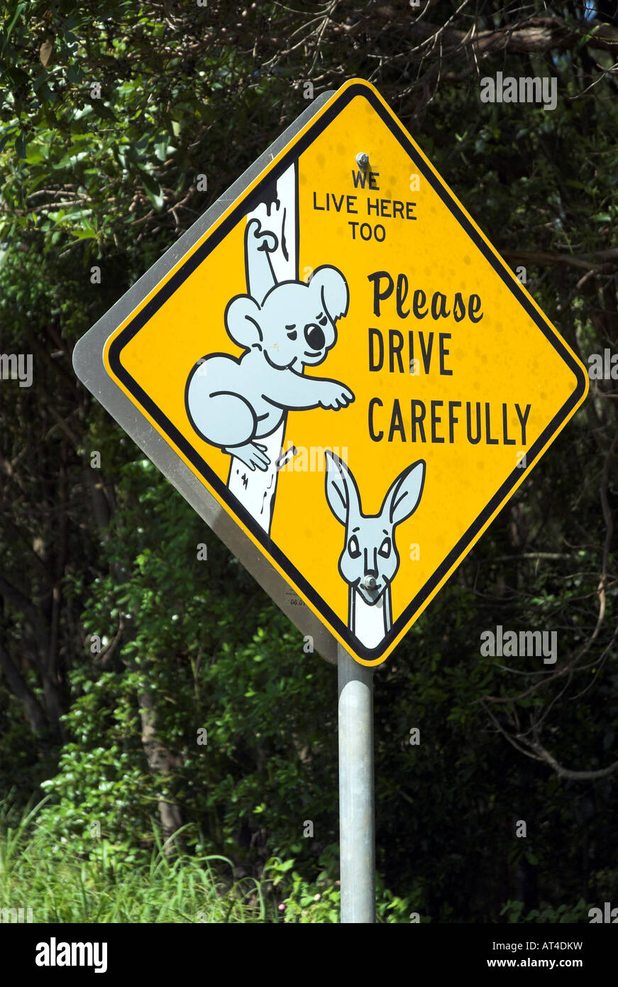Straßenschild, das die Verlangsamung wegen der einheimischen Tiere fordert, Noosa, Queensland, Australien Stockfoto