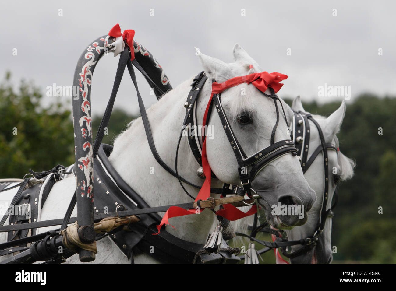 Russische Wagen und drei Stockfoto