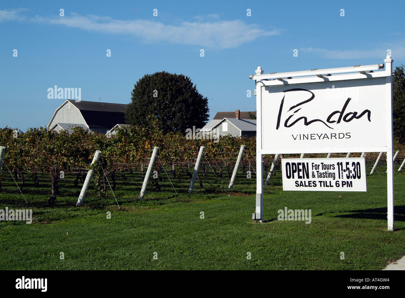 Pindar Weinberge am Peconic auf Long Island New York USA Stockfoto