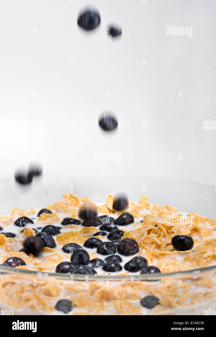 Müsli-Cornflakes mit Blaubeere in Glasschale mit Milch einfaches Frühstück für Kinder von oben Unschärfe Hintergrund vertikales Format in den USA USA USA Stockfoto