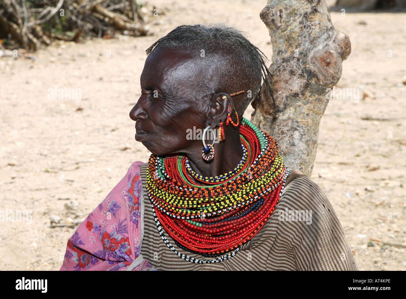 Turkana Frau, Seitenansicht, Porträt, Kenia Stockfoto
