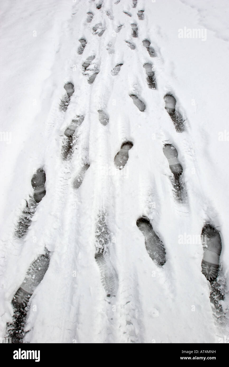 Fußspuren im Schnee in Bella Vista, Arkansas, nach einem Wintersturm am 31. Januar 2008. Stockfoto