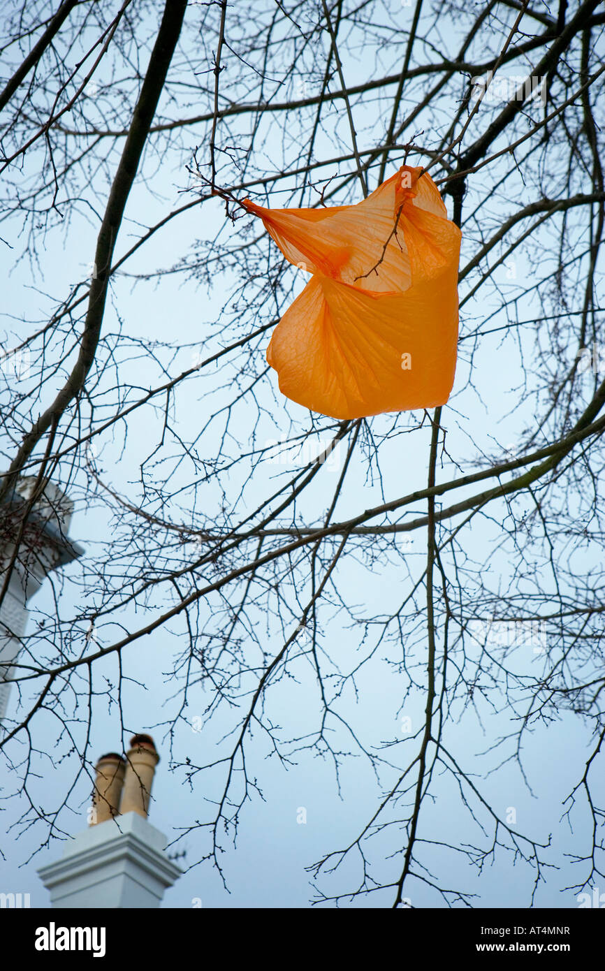Ausrangierte Plastiktüte gefangen in den Ästen eines Baumes Stockfoto