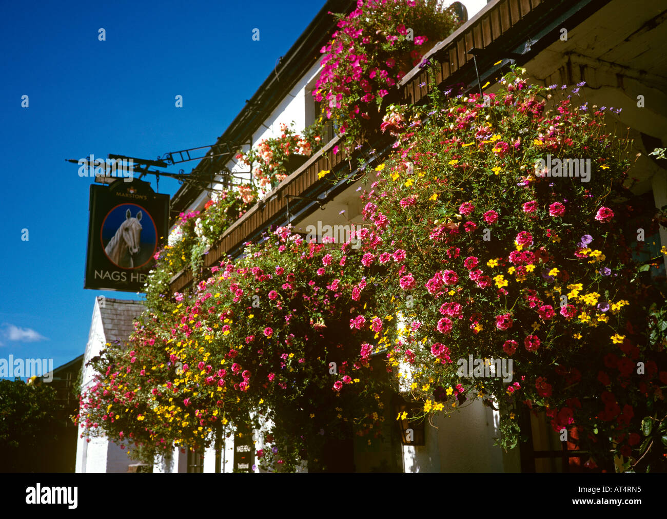 UK Cheshire Farndon Blütenpracht außerhalb Nags Head Pub Stockfoto