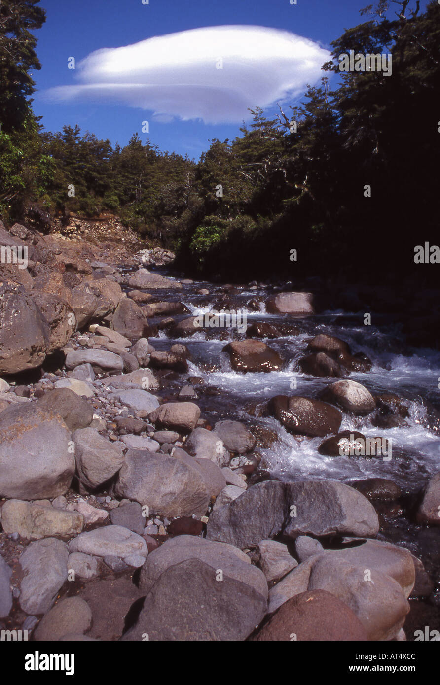 Die felsigen Bett Whakapapanui Stream und fernen Welle Cloud von Whakapapa im Tongariro-Nationalpark, New Zealand Stockfoto