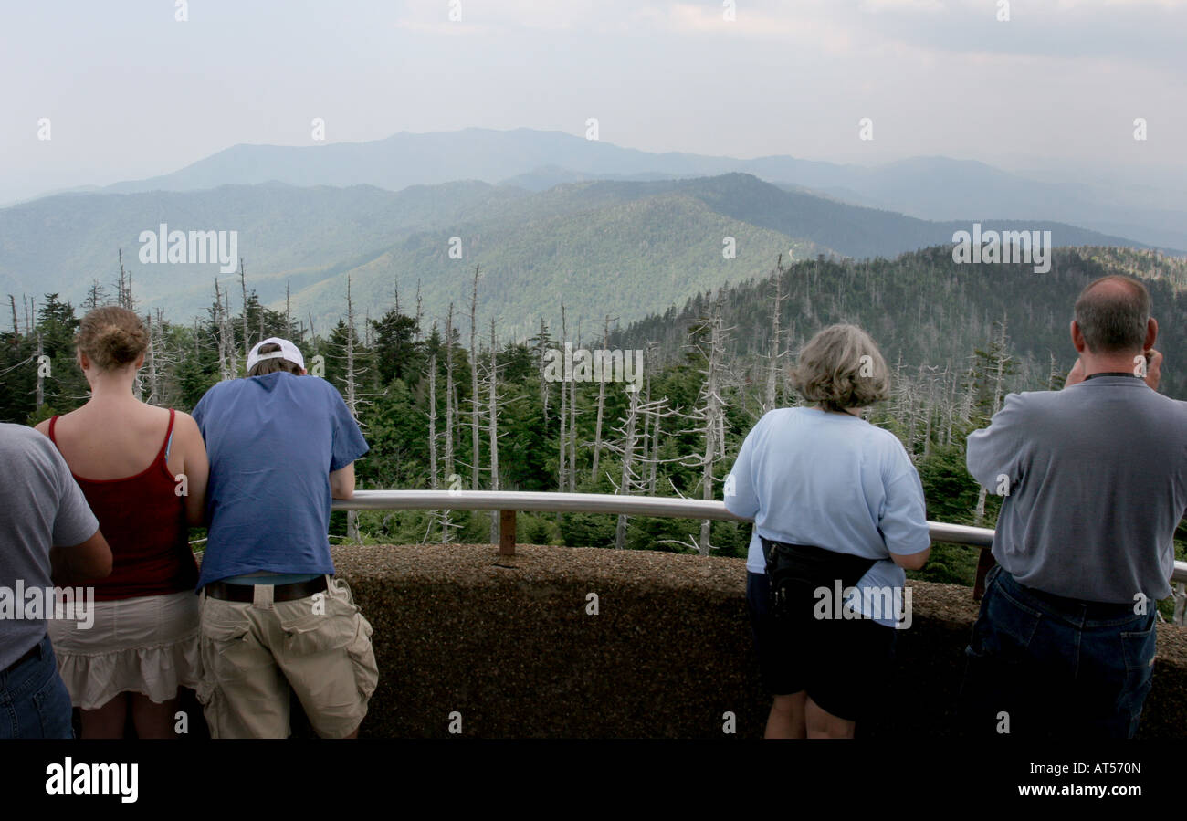 Clingman Dome-Tower Great Smoky Mountains Nationalpark Stockfoto