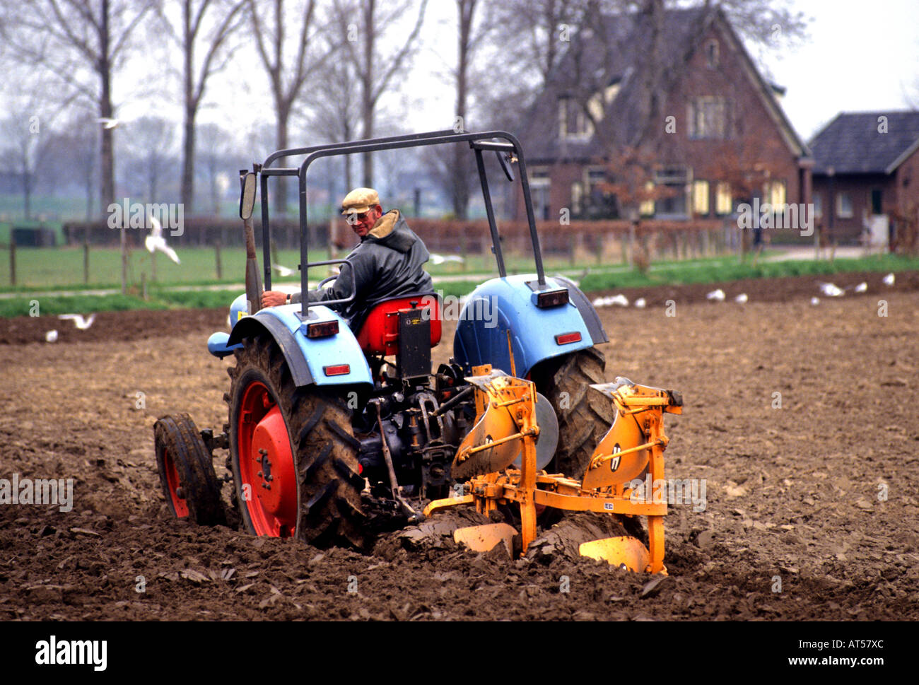 Niederlande Holland Traktor Pflug Pflügen Stockfoto